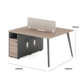 Shine-A Office Desk Metal Frame Workstation with Storage Cabinet